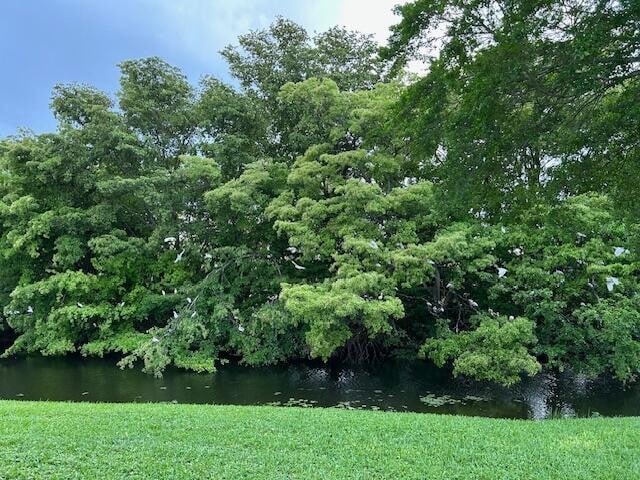 Building Photo - 200 Lake Carol Dr