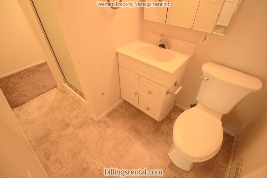 Basement Bathroom - 743 Wyoming Ave