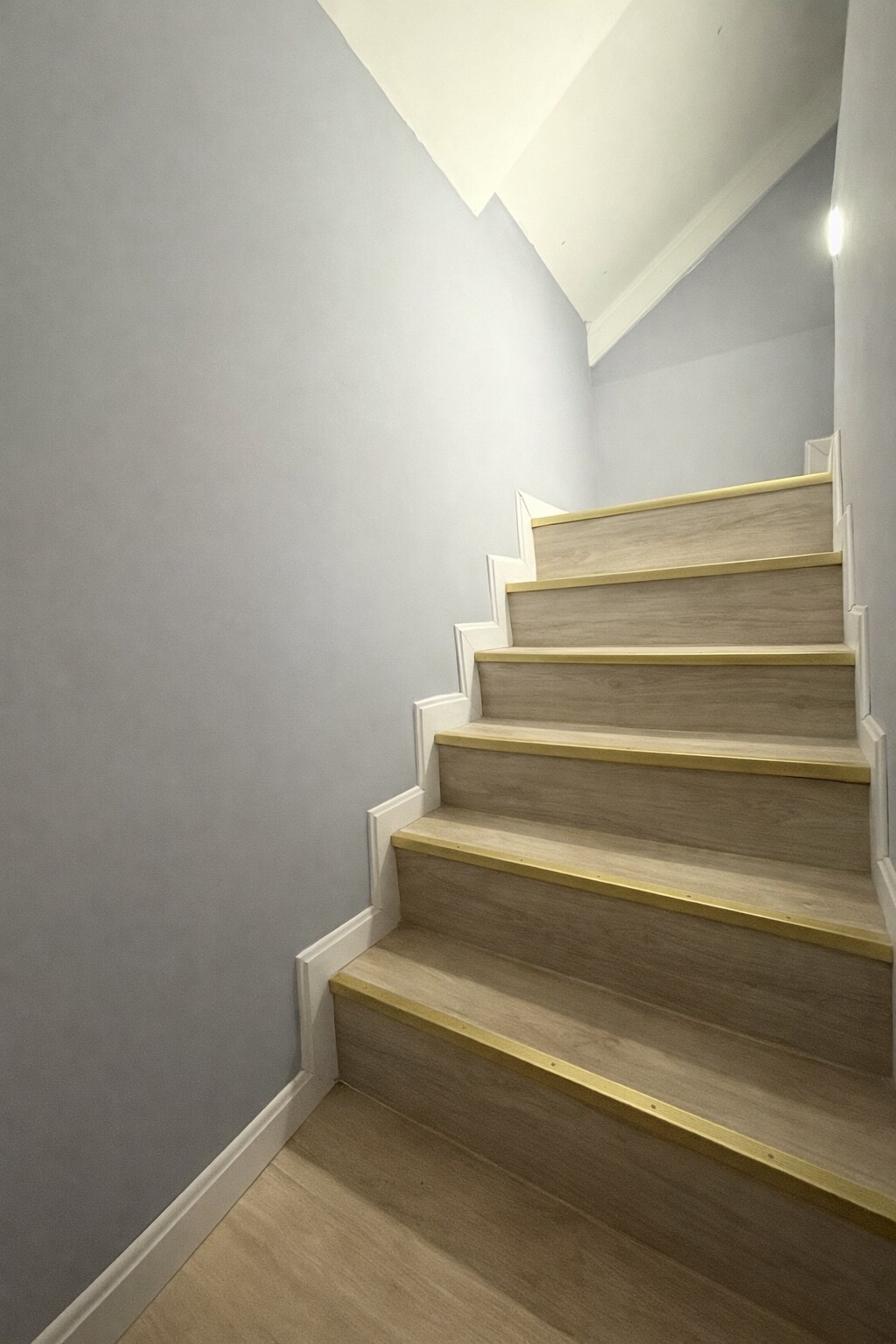 Building Photo - 209 Princeton St