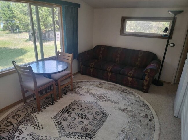 Comfortable couch is a sleeper-sofa for an occasional guest. - 16693 Sprague Loop