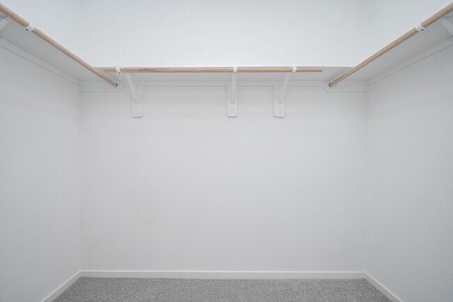 Building Photo - 923 Capracotta Dr