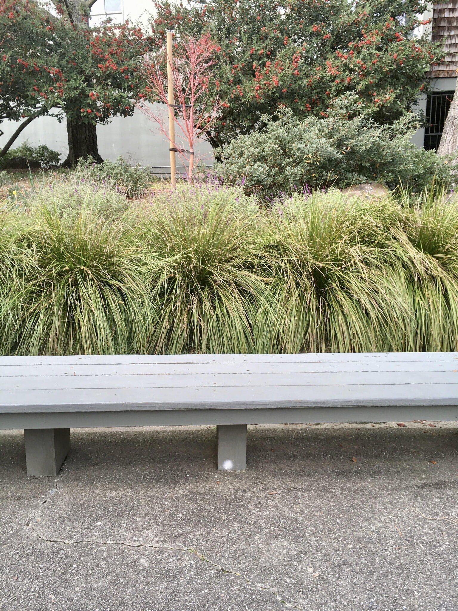 More outdoor seating with gorgeous landscaping! - 15 Red Rock Way
