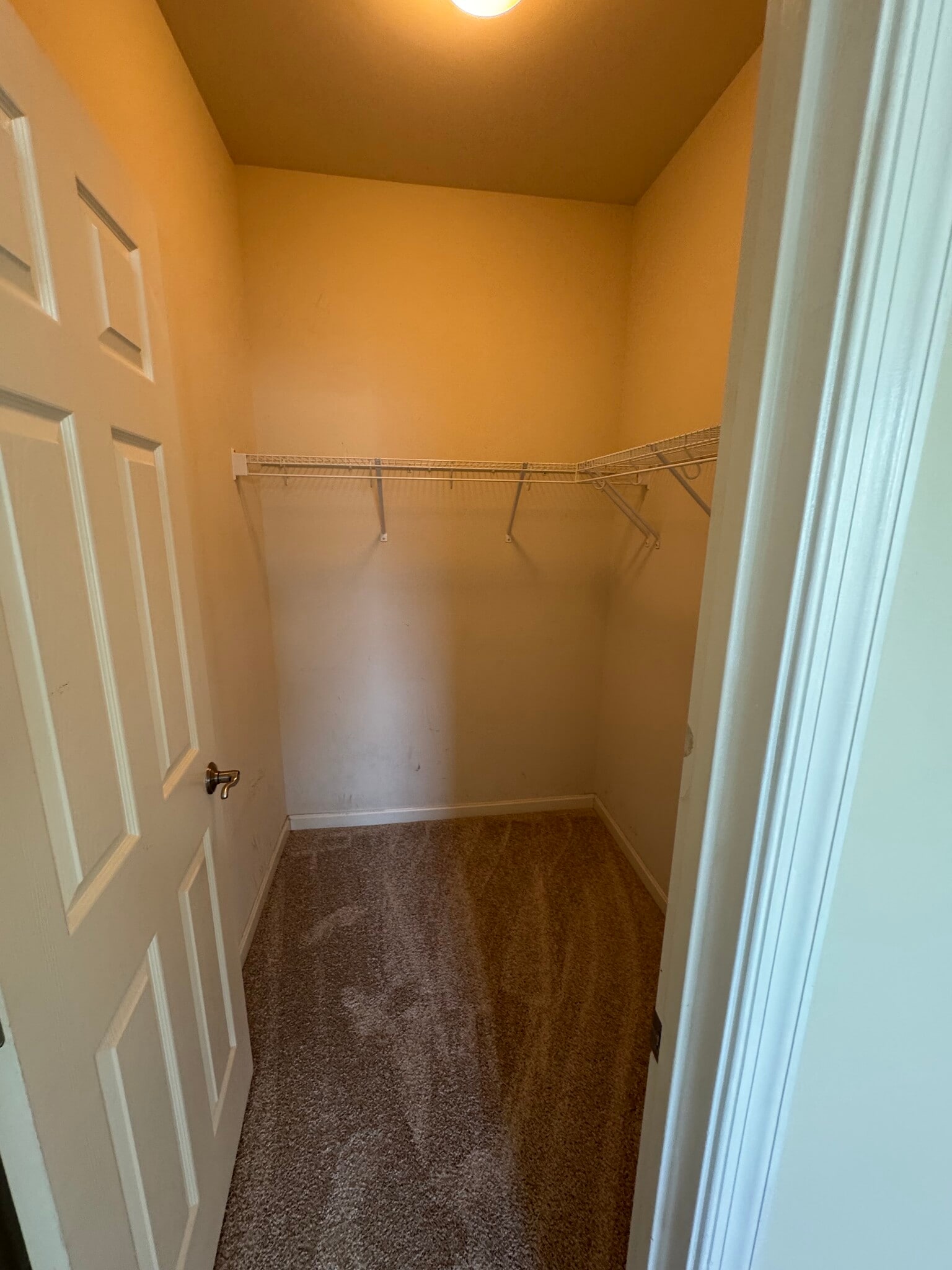 Enjoy the big walk-in closet of the second bedroom. - 44520 Gray Wolf St