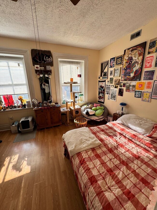Building Photo - Spacious 3 bed 1 bath Near VCU, own laundry, deck, parking, porch