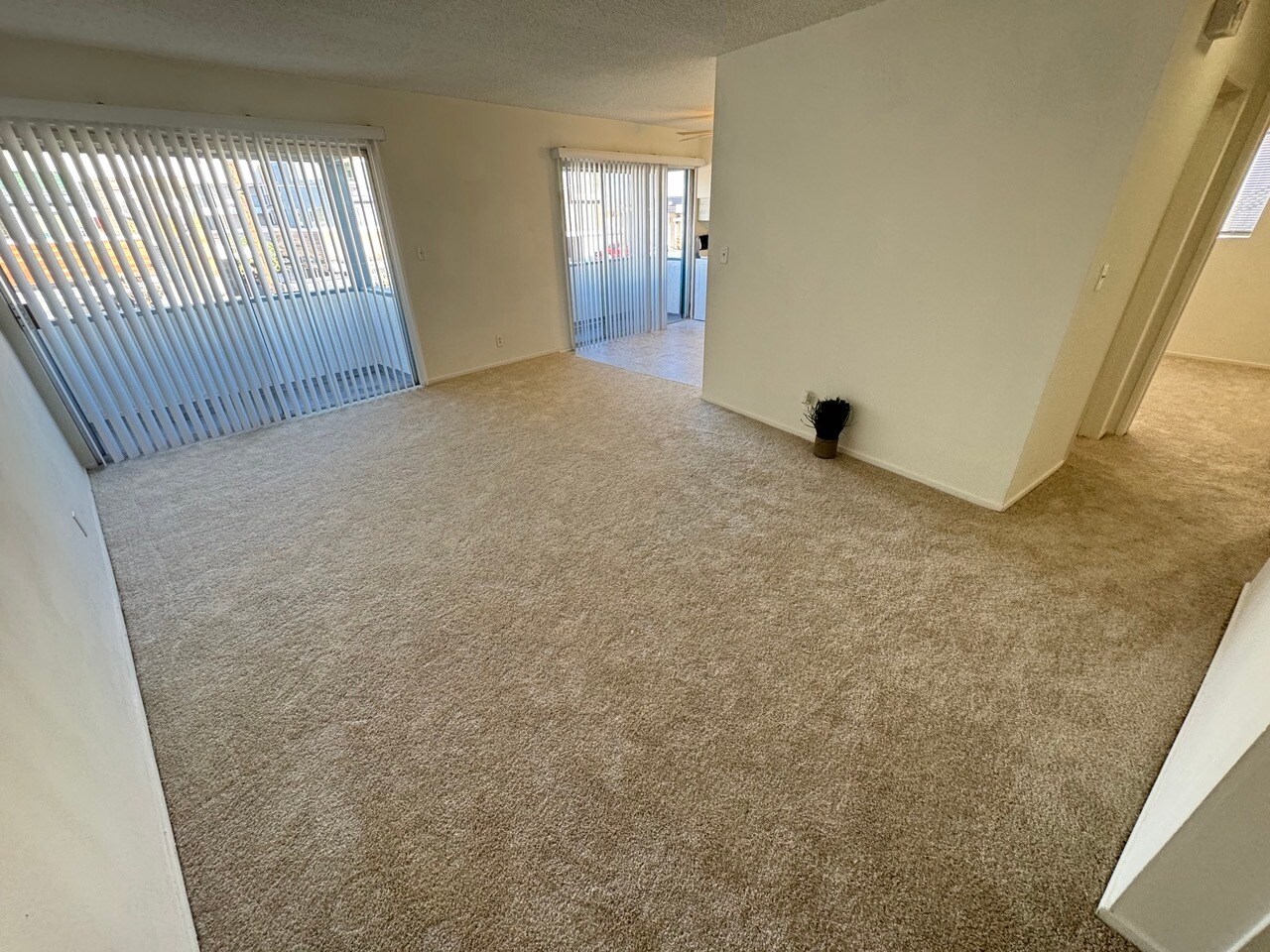 Building Photo - 5858 S Pacific Coast Hwy