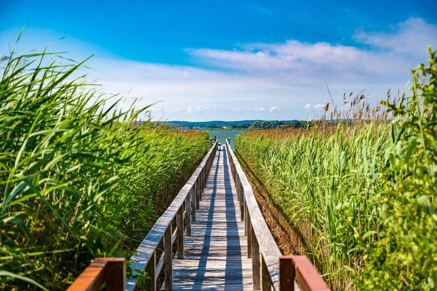 Building Photo - 360 Dune Rd