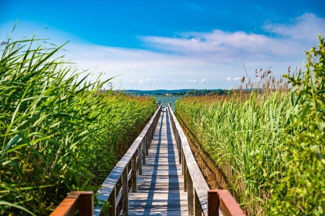 Building Photo - 360 Dune Rd