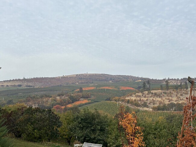 Building Photo - Beautiful views of Mt. Hood!