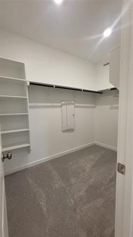Building Photo - 508 Capstone Ct
