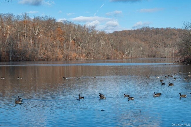 Building Photo - 5 Madison St