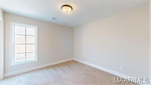 Building Photo - 1433 Trace Oak Ln