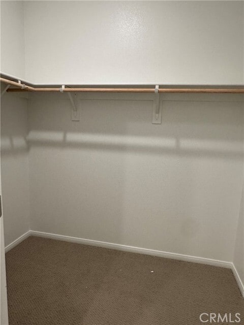 Building Photo - 1577 Stratus Dr