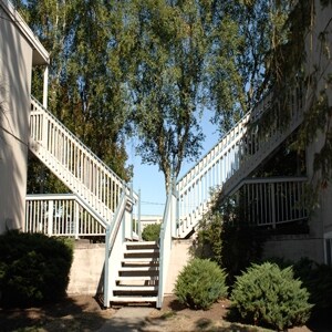 Juniper Court Apartments Lakewood Wa Juniper Court Apartments Lakewood Wa