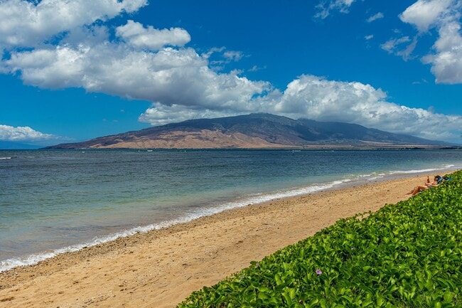 Building Photo - Oceanfront 1 Bed/1 Bath Fully Furnished Condo at Waipuilani!