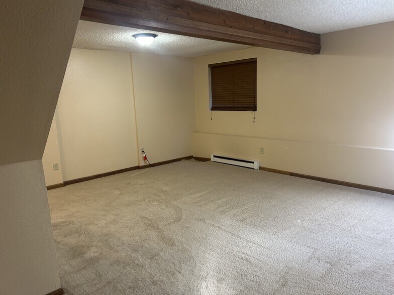 Basement Family Room - 1704 Copperville Rd