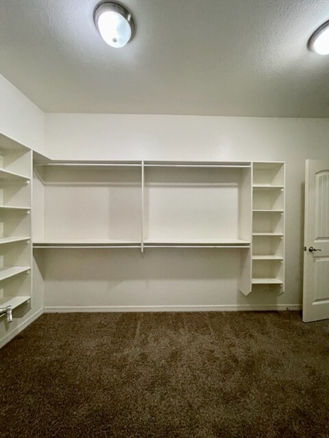 Building Photo - 2903 SW Briar Creek Ave