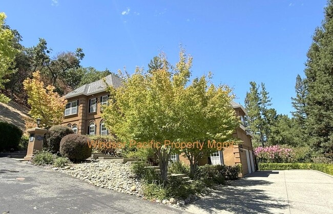 Primary Photo - NEW PRICE ! Westside Alamo Custom Estate W...