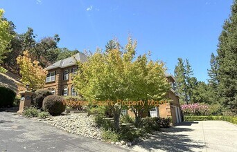 Building Photo - NEW PRICE ! Westside Alamo Custom Estate W...
