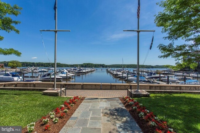 Building Photo - 525 Belmont Bay Dr