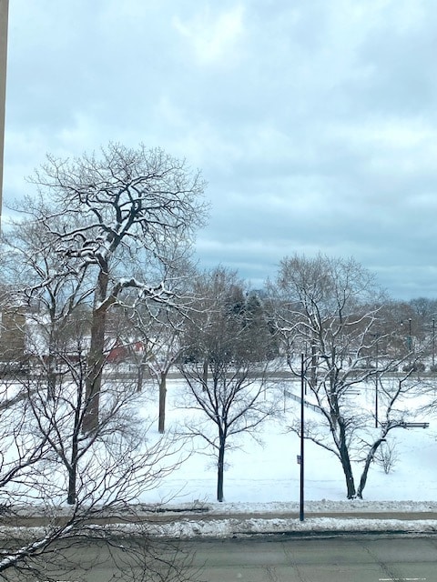 Building Photo - 1850 N Clark St