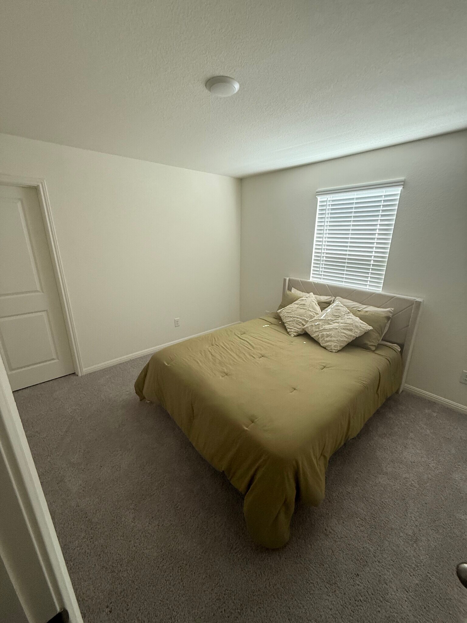 Building Photo - 401 Lagoon Dr