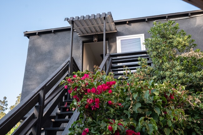 Back Porch - 1621 Campus Rd