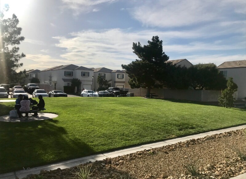 Building Photo - 10063 Swimming Hole St