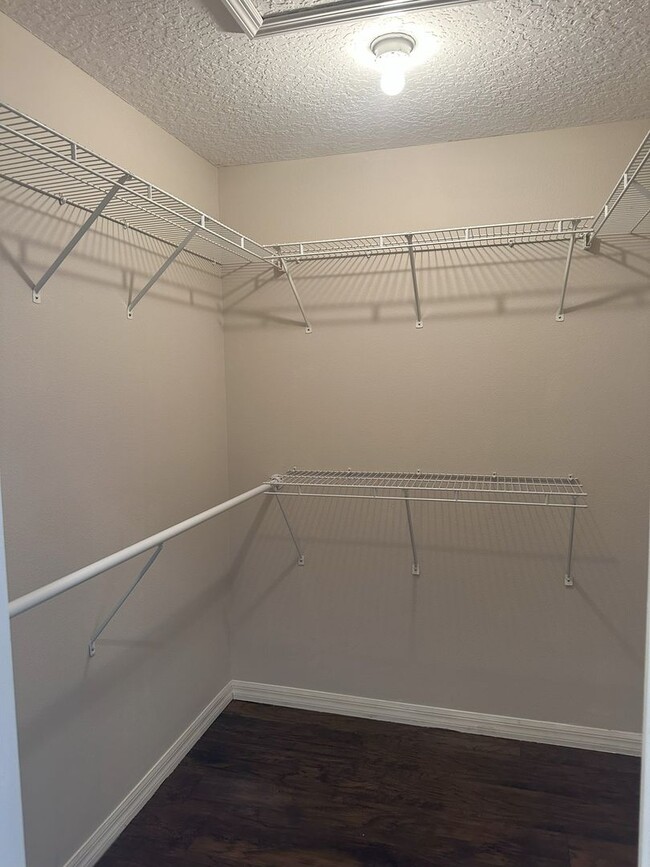 Building Photo - Palm Harbor Pool Home!