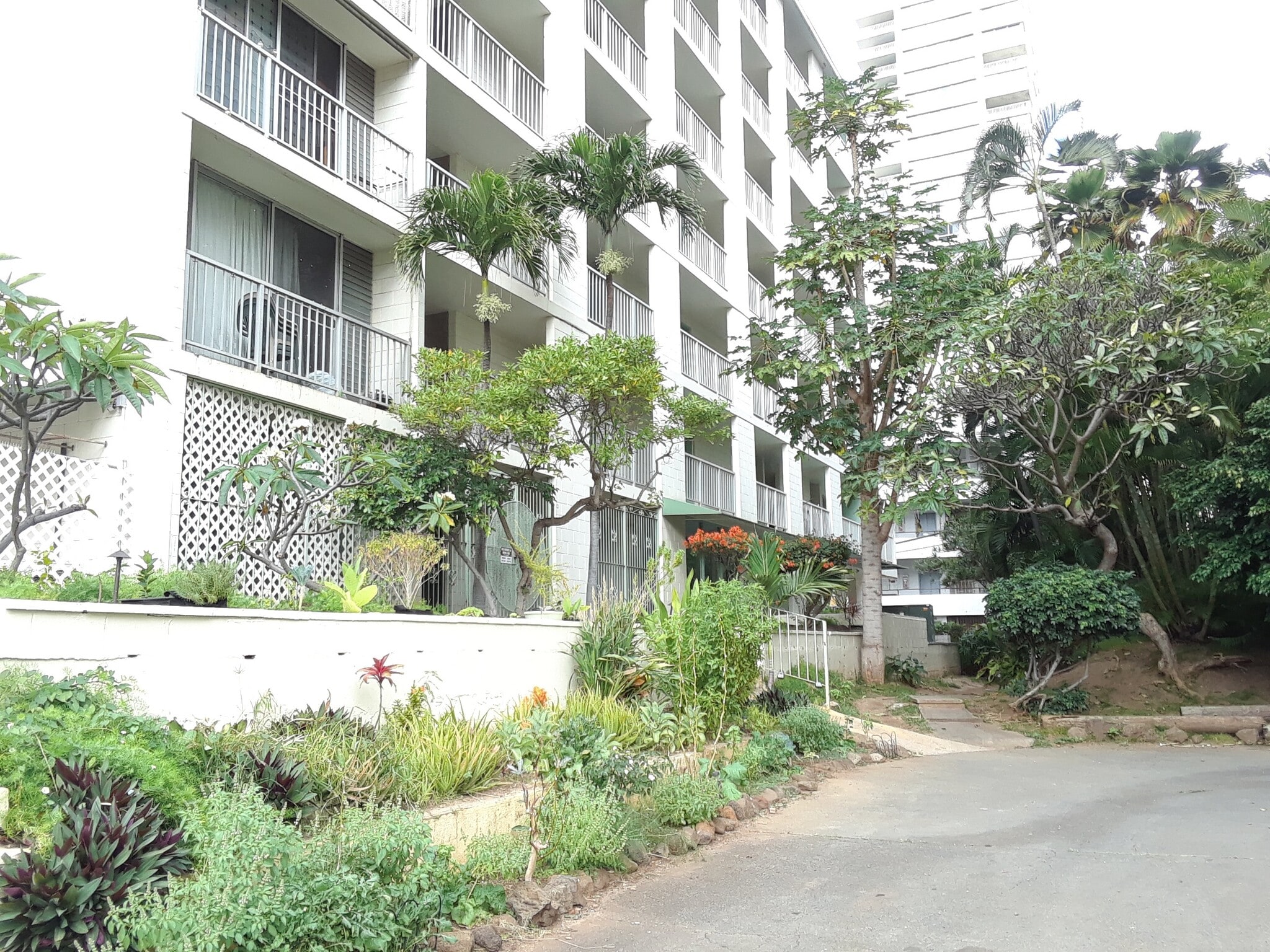 Building Photo - 249 Kapili St