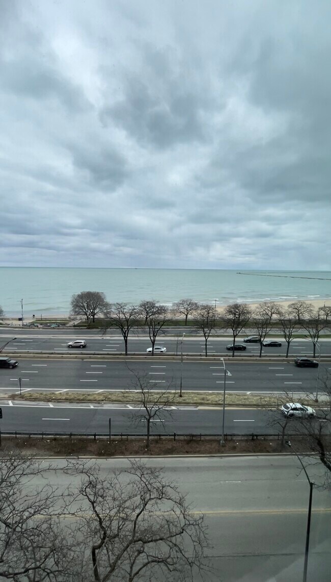 Building Photo - 1150 N Lake Shore Dr