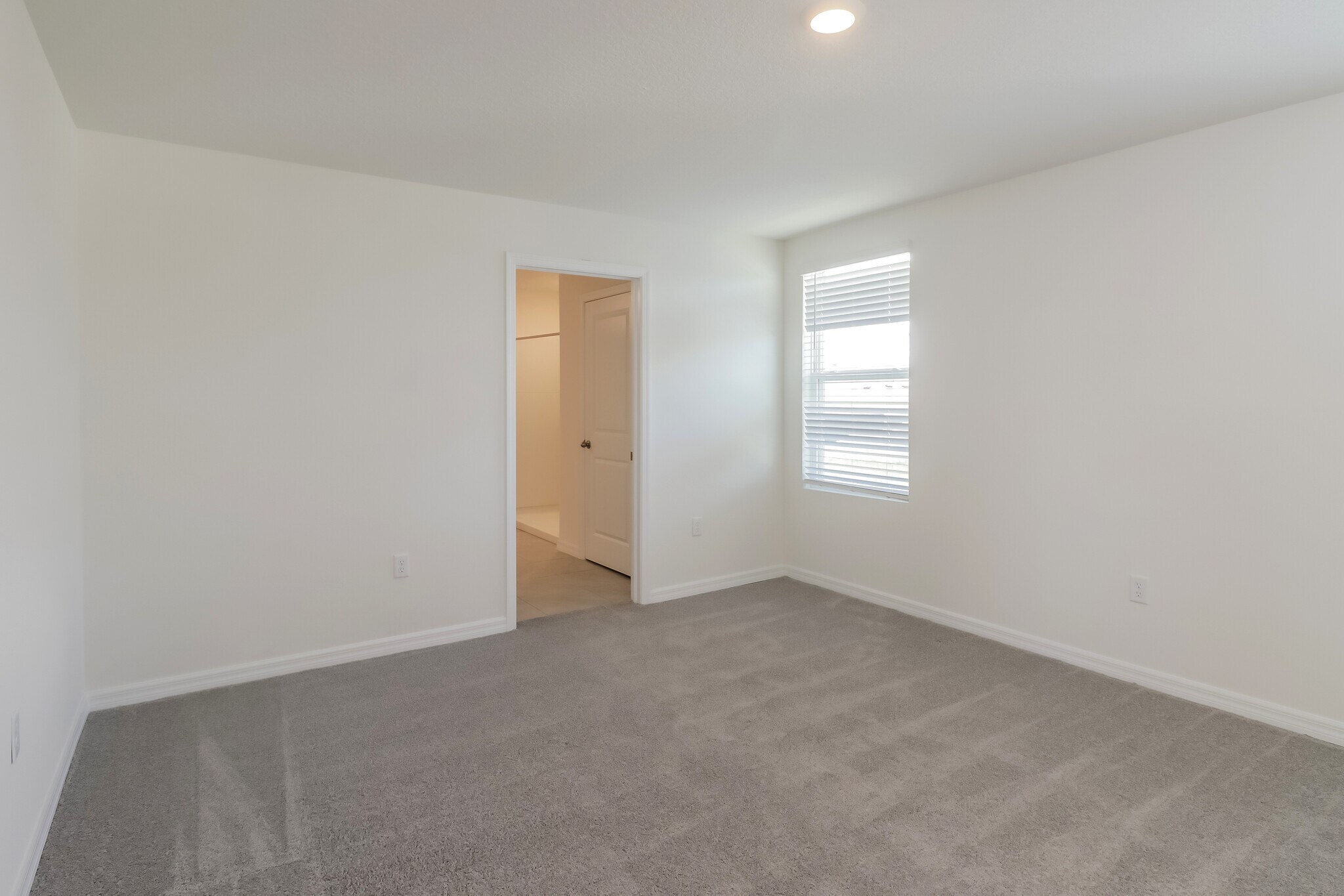 Building Photo - 439 Sunlit Coral St