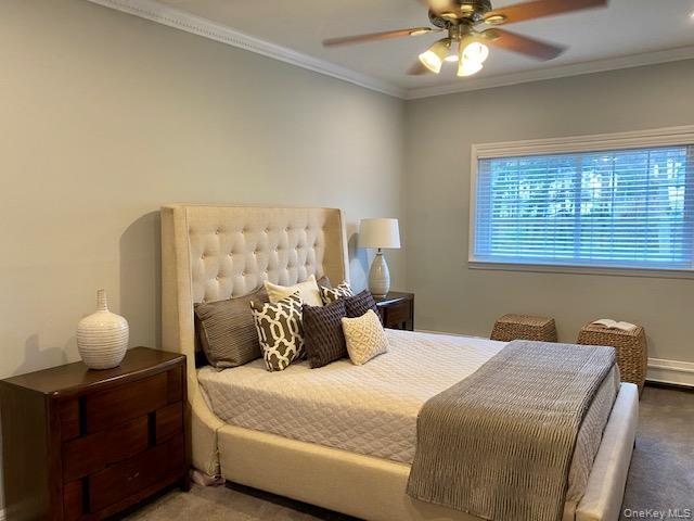 Building Photo - 582 New Hwy