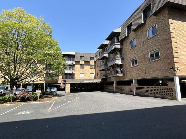Primary Photo - Updated 3 Bed Condo in Myers Park