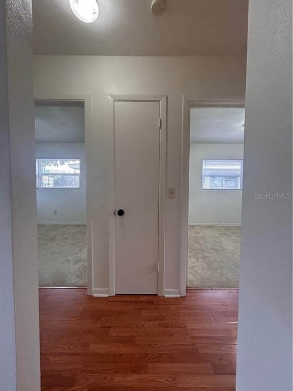 Building Photo - 1487 Otten St