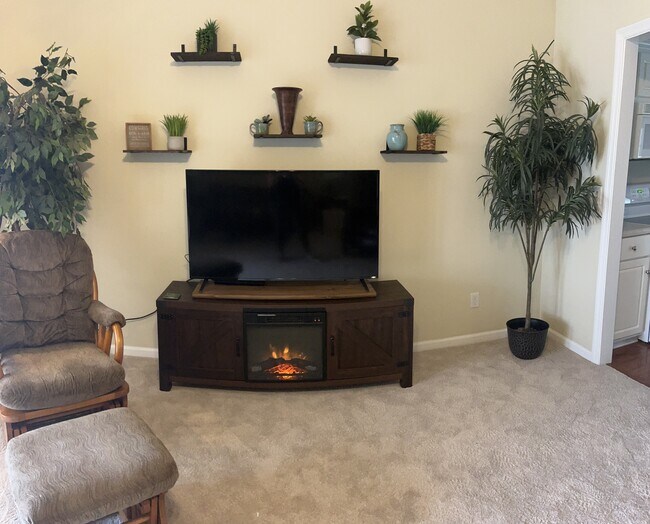 Living room fireplace - 1243 Carriage Dr