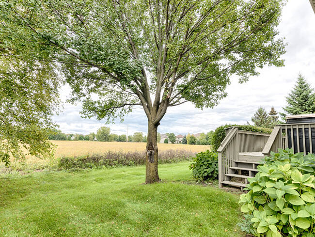 Building Photo - 3839 Mistflower Ln