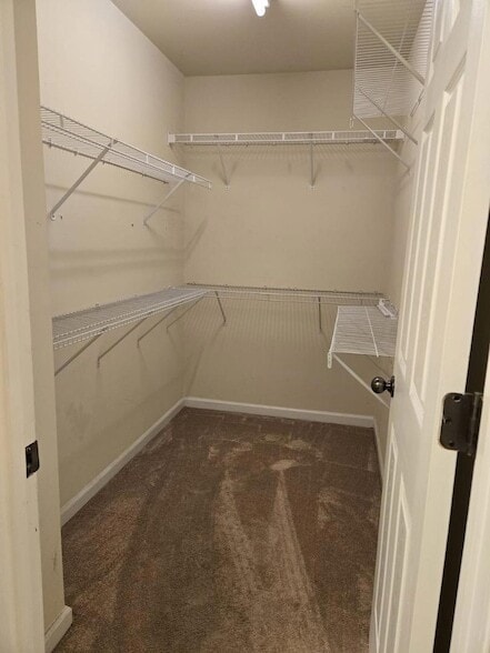 Building Photo - 120 Linden Park Ln