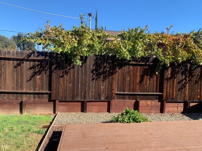 Building Photo - 3 bedroom 2 bath home with HUGE yard in Orangevale