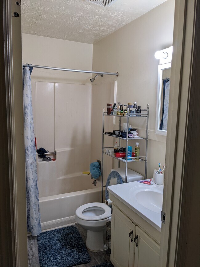 Building Photo - 845/847 Mitchell Bridge Road Duplex