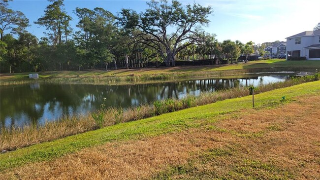 Building Photo - 6598 Calypso Coral Ln