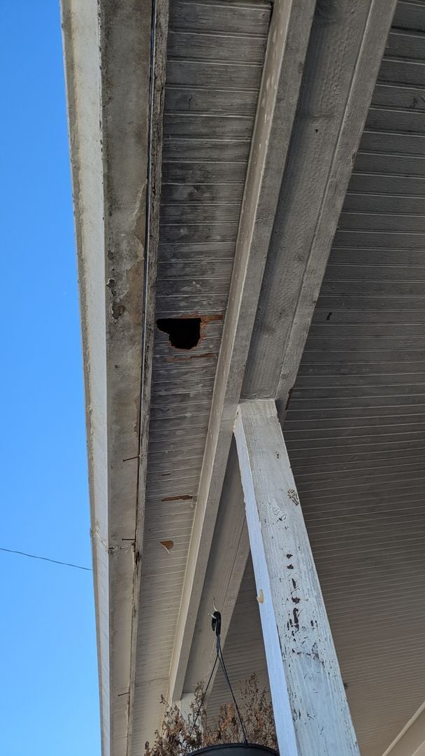 Building Photo - 806 S Saville Ave