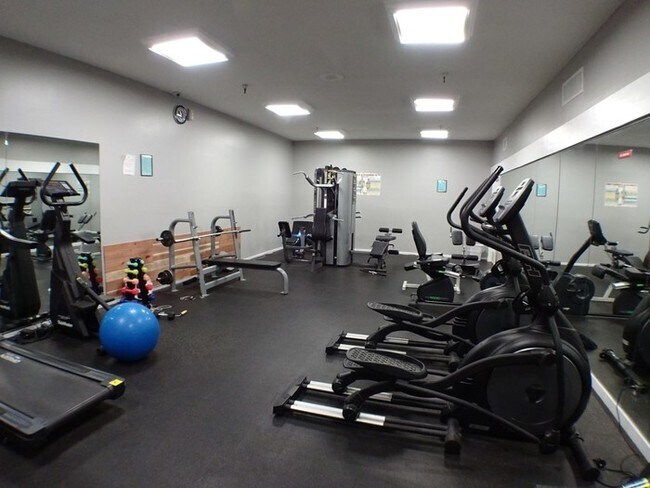 Gym - 436 N Bellflower Blvd