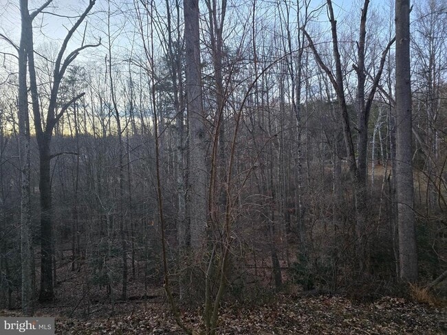 Building Photo - 12048 Winding Creek Ct