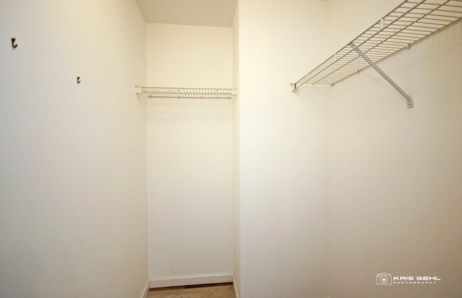 Building Photo - 1551 Crystal Rock Ct