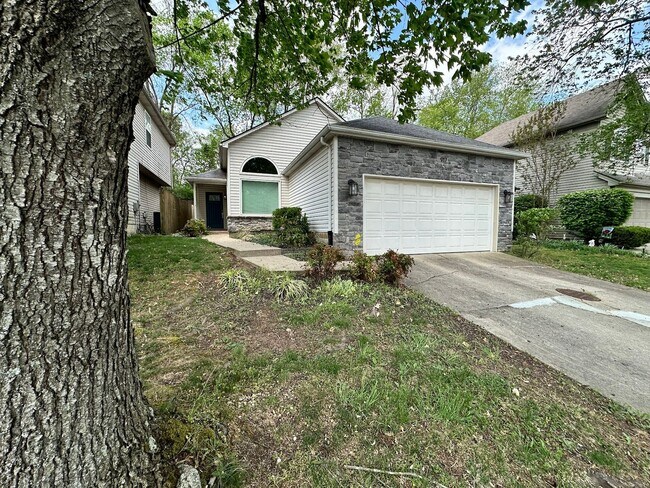 Building Photo - COMING SOON! Beautiful 3 BR Home; Open Floor Plan, Attached Garage; Fenced Backyard!