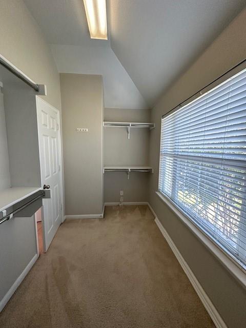 Building Photo - 2505 Charolais Ct