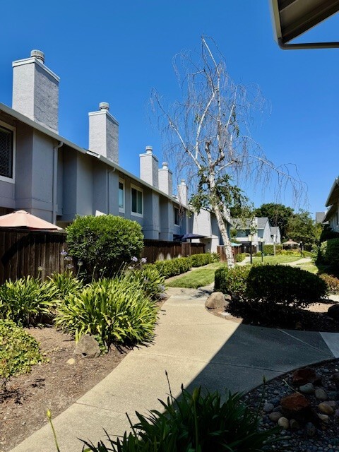 Building Photo - 361 Pantano Cir