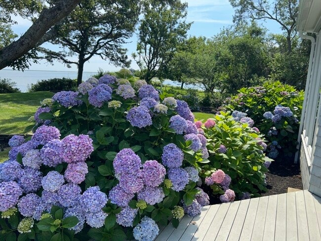 Building Photo - 351 Whidah Rd