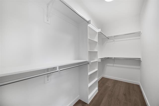 Building Photo - 2535 Exline St