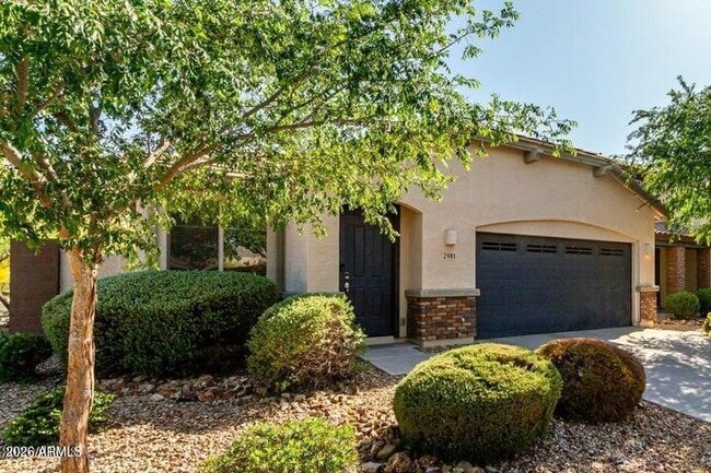 Building Photo - 2981 E Nighthawk Wy